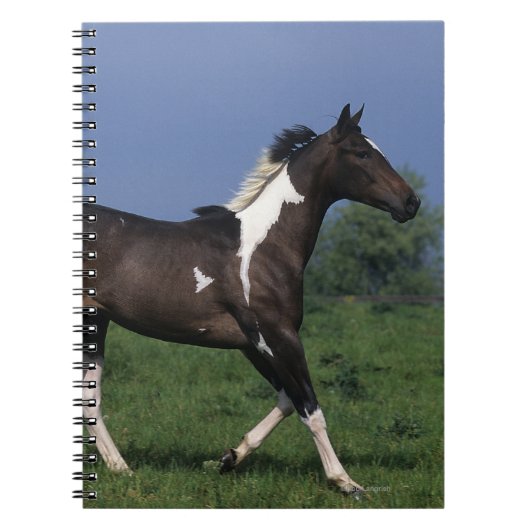 Schilder Paard Rennen 2 Notitieboek (Voorkant)