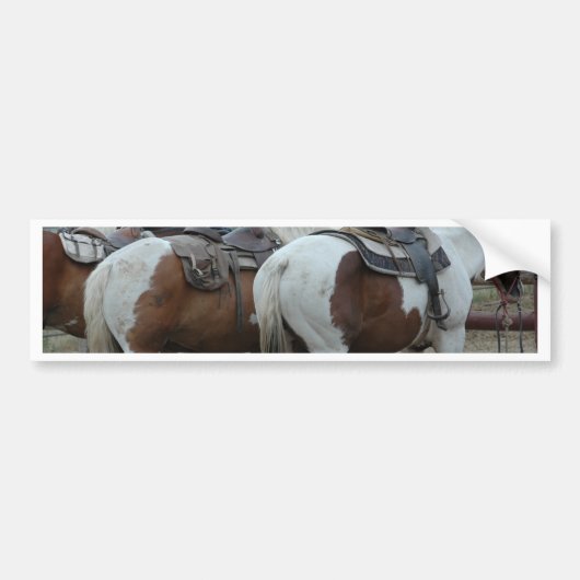Schilder Paardenstaart Bumpersticker (Voorkant)
