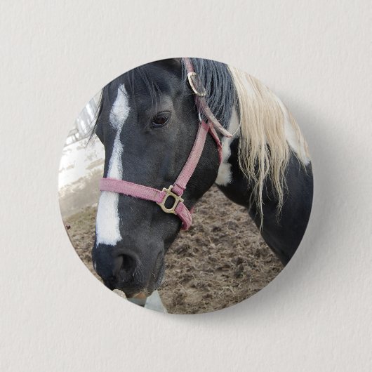 Schilder Paardrijden Paard Ronde Button 5,7 Cm (Voorkant)
