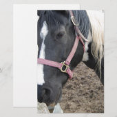 Schilder Pinto Paard Briefpapier (Voorkant / Achterkant)