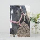 Schilder Pinto Paard Briefpapier (Staand voorkant)