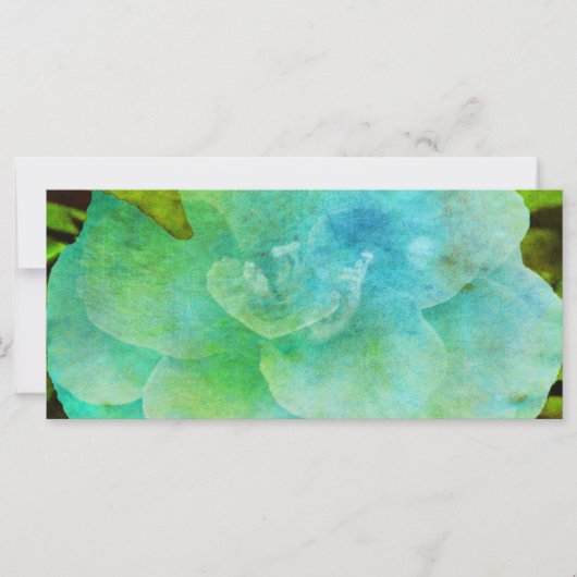 Schilder van Shirley Taylor (Voorkant)