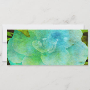 Schilder van Shirley Taylor