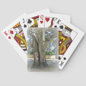Schilderachtig afbeelding van twee bomen die samen speelkaarten (Achterkant)