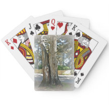 Schilderachtig afbeelding van twee bomen die samen