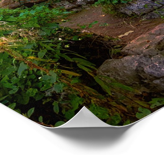 Schilderachtig afbeelding waterval in Japanse rote Poster (Hoek)