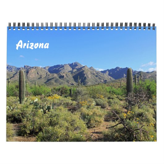Schilderachtig Afbeeldingen van Arizona Calendar Kalender (Hoes)