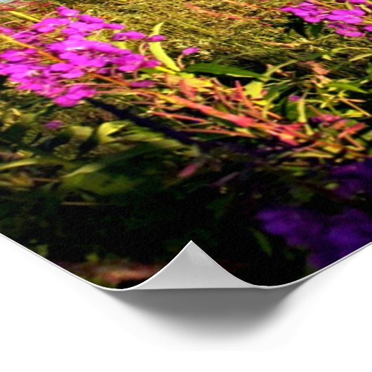 Schilderachtig Alaska, gelabeld Poster (Hoek)