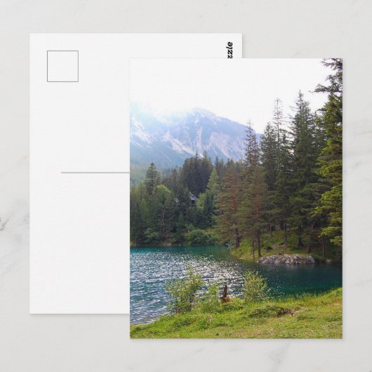 Schilderachtig Alpenbossen en meer Briefkaart (Voorkant / Achterkant)