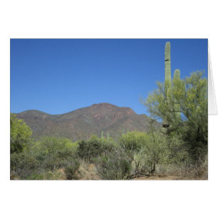 Schilderachtig Apache Trail