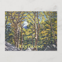 Schilderachtig Aspen-bomen in het Briefkaart van h