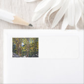 Schilderachtig Aspen-bomen in het natuurpark Estes Etiket (Insitu)