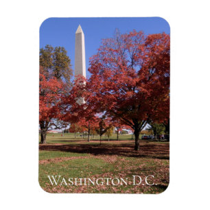 Schilderachtig Autumn Washington D.C. Souvenir Magneet