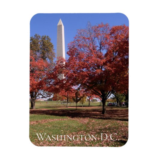Schilderachtig Autumn Washington D.C. Souvenir Magneet (Verticaal)