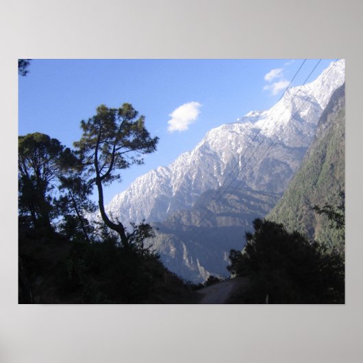 SCHILDERACHTIG BEAUTY POSTER (Voorkant)