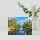 Schilderachtig beek door het bos briefkaart (Staand voorkant)