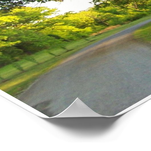 Schilderachtig bomen 2 poster (Hoek)