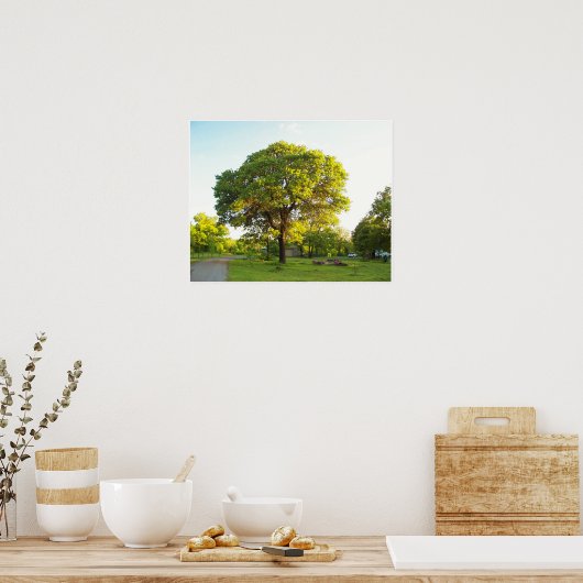 Schilderachtig bomen 2 poster (Keuken)