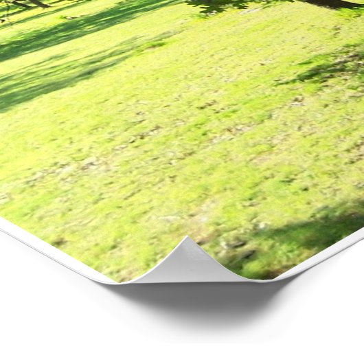 Schilderachtig bomen poster (Hoek)