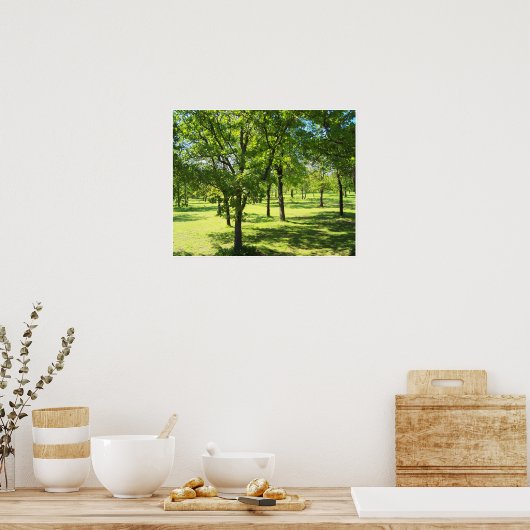 Schilderachtig bomen poster (Keuken)