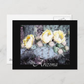 Schilderachtig Briefkaart Arizona Cactus Flower Di (Voorkant / Achterkant)