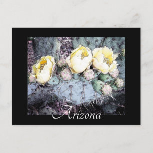 Schilderachtig Briefkaart Arizona Cactus Flower Di