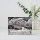 Schilderachtig Derelict Boerderij Gebouwen Briefkaart (Staand voorkant)