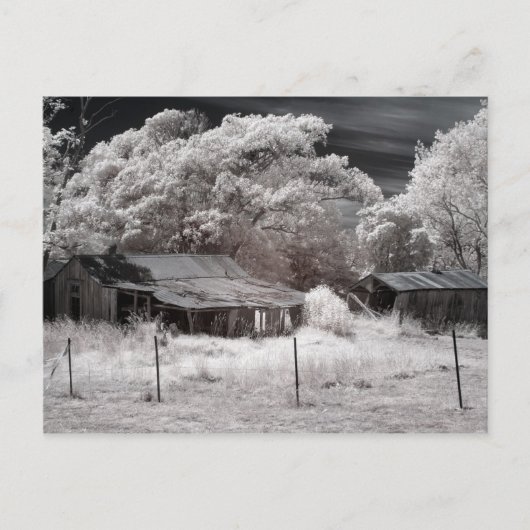 Schilderachtig Derelict Boerderij Gebouwen Briefkaart (Voorkant)