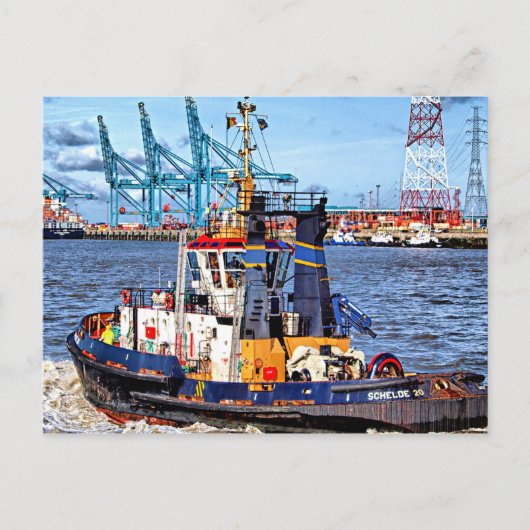 Schilderachtig foto Antwerpen, België Briefkaart (Voorkant)