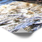 Schilderachtig foto Antwerpen, België Poster (Hoek)