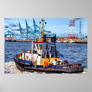 Schilderachtig foto Antwerpen, België Poster