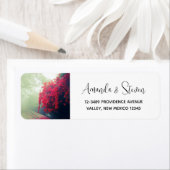 Schilderachtig foto van Misty Railroad Tracks Etiket (Insitu)