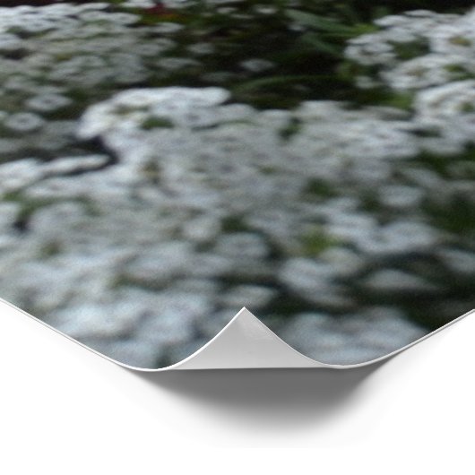 schilderachtig frankrijk poster (Hoek)