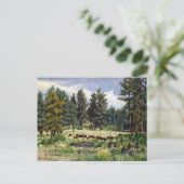 Schilderachtig gebufferd deeg in South Dakota Briefkaart (Staand voorkant)