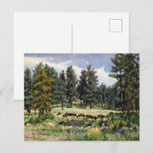 Schilderachtig gebufferd deeg in South Dakota Briefkaart (Voorkant / Achterkant)