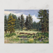 Schilderachtig gebufferd deeg in South Dakota Briefkaart (Voorkant)