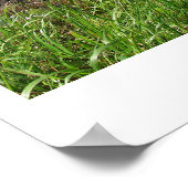 Schilderachtig gezichtspunt Kaapvaarders Poster (Hoek)