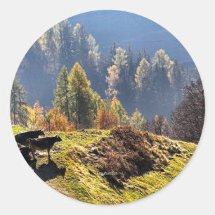 Schilderachtig Graubunden Zwitserland Ronde Sticker