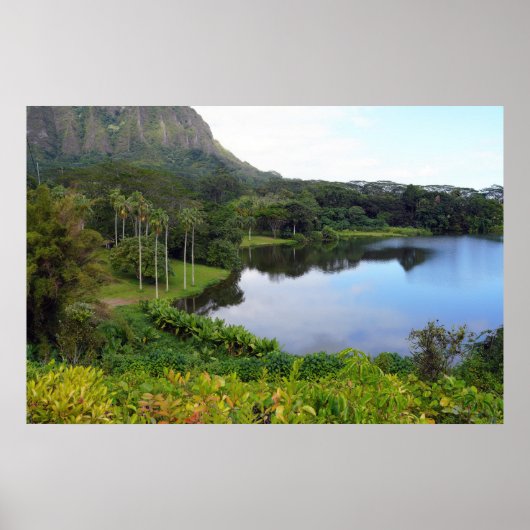 Schilderachtig Hawaïaans Uitzicht Poster (Voorkant)