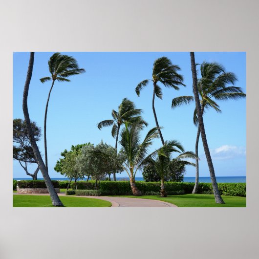 Schilderachtig Hawaïaans uitzicht Poster (Voorkant)