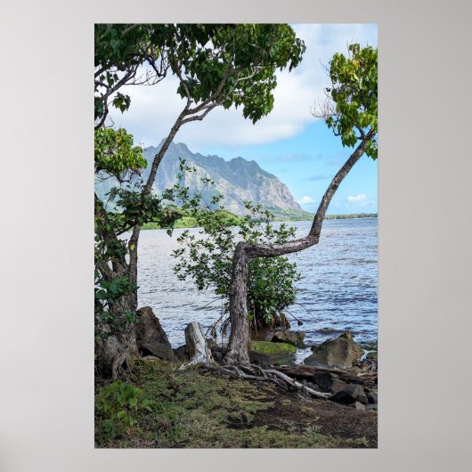 Schilderachtig Hawaiian Coast Uitzicht Poster (Voorkant)