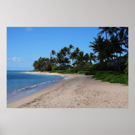Schilderachtig Hawaiian Coast Uitzicht Poster