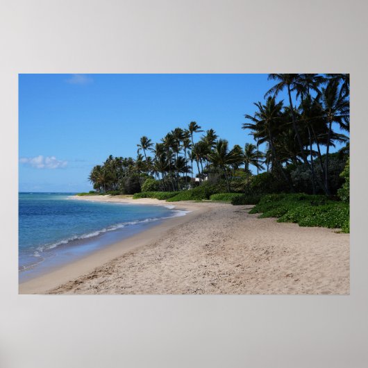 Schilderachtig Hawaiian Coast Uitzicht Poster (Voorkant)
