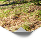 Schilderachtig Hawaiian Coast Uitzicht Poster (Hoek)