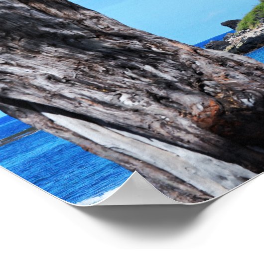 Schilderachtig Hawaiian Coast Uitzicht Poster (Hoek)