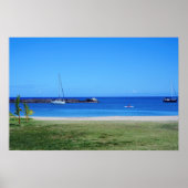 Schilderachtig Hawaiian Coast Uitzicht Poster (Voorkant)