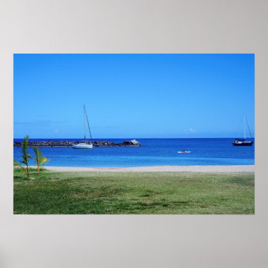 Schilderachtig Hawaiian Coast Uitzicht Poster (Voorkant)