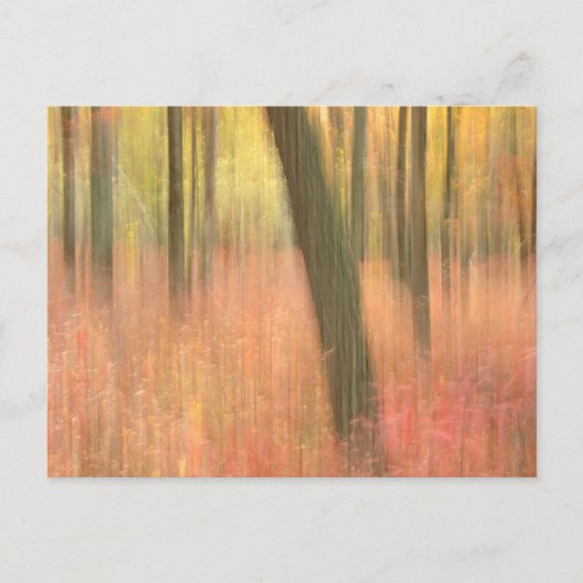 schilderachtig herfst abstract briefkaart (Voorkant)