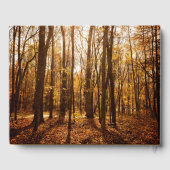 Schilderachtig herfstbosmonument gastenboek (Achterkant)