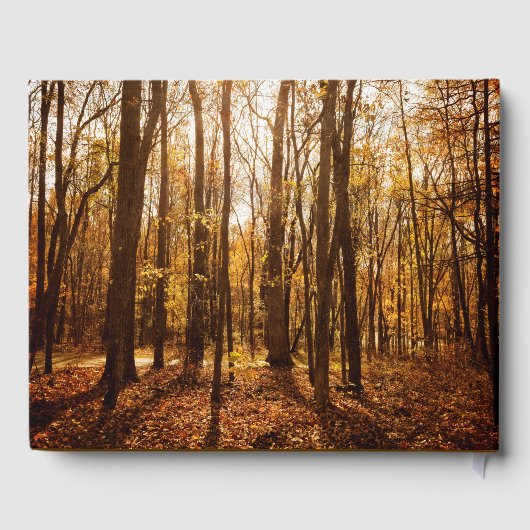 Schilderachtig herfstbosmonument gastenboek (Achterkant)